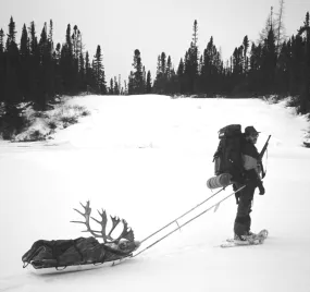 Backcountry Sleds